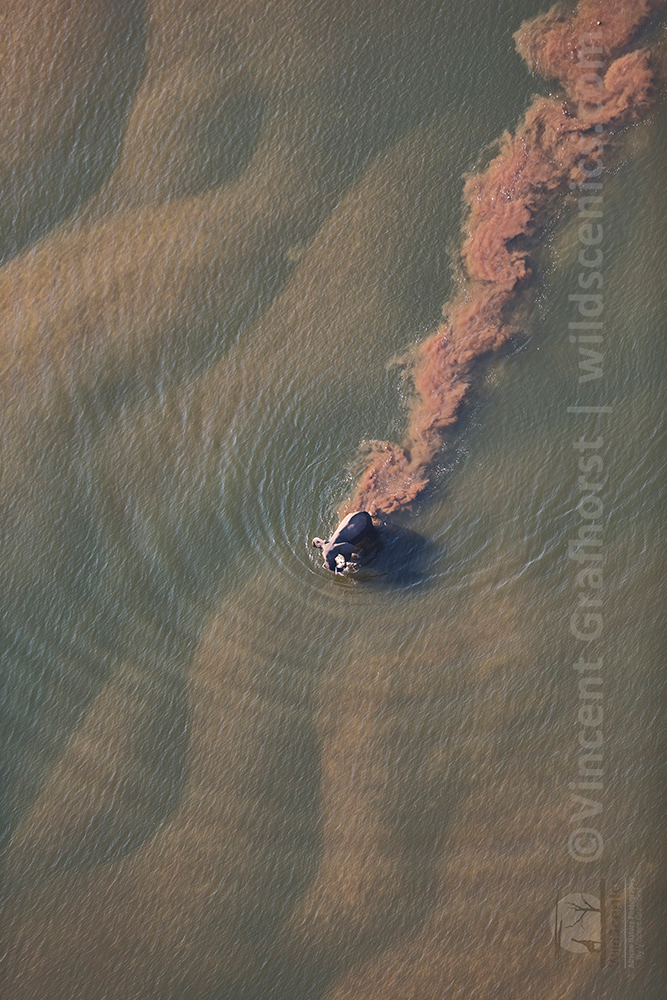 Zambezi textures