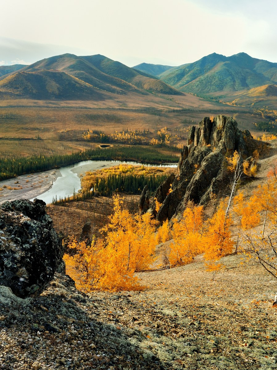 Koyukuk Vista