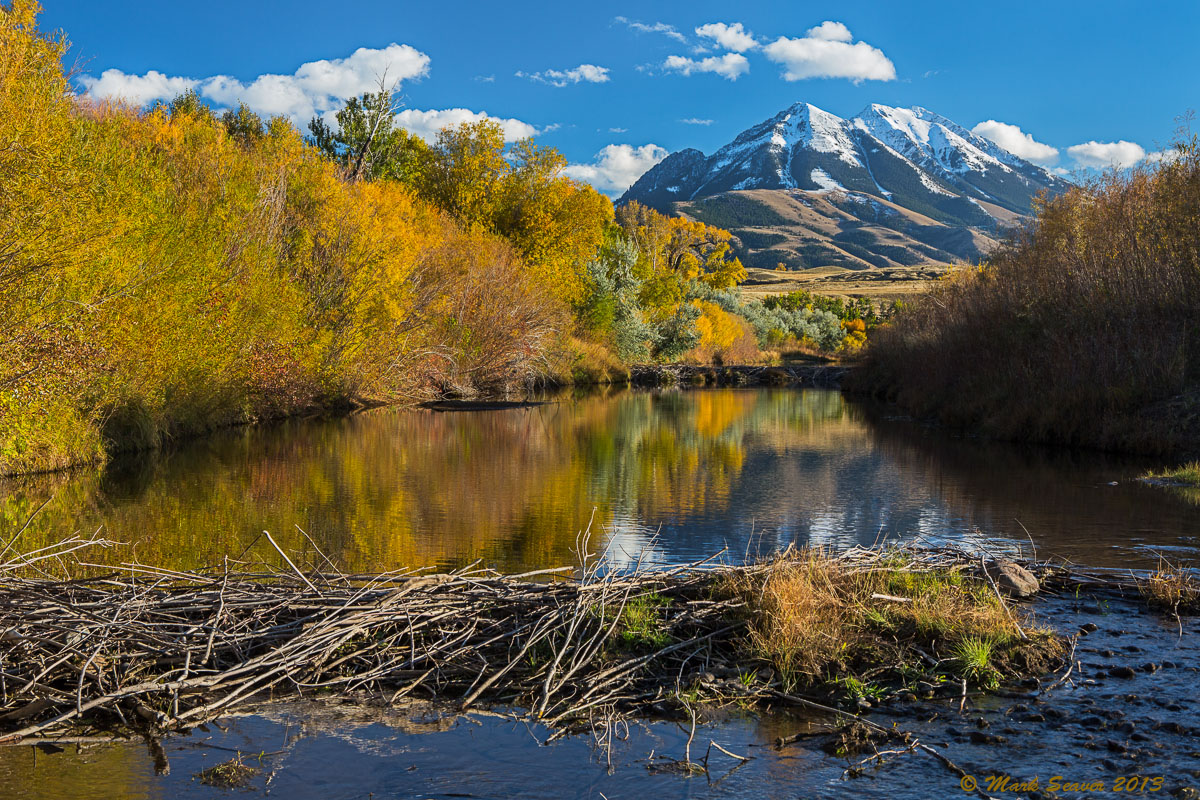 Yellowstone River Fall