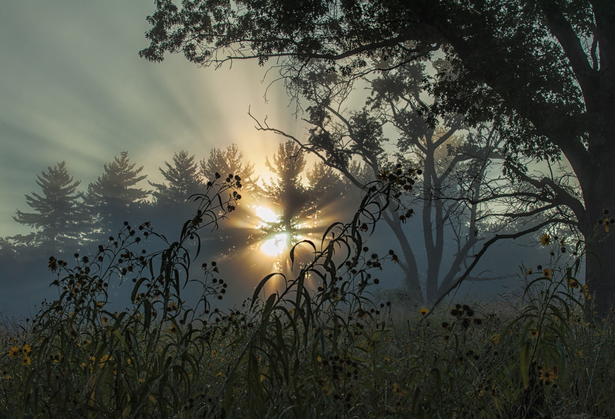 Prarie sunrise