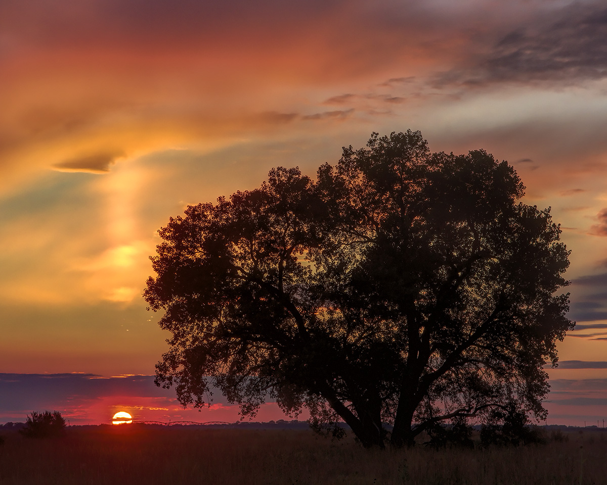 Light beam & Cottonwood