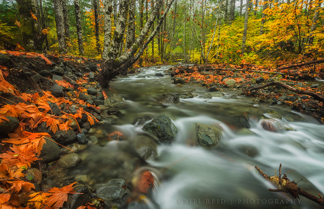 Faber Creek