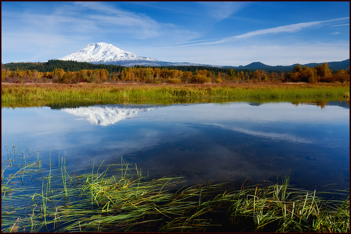 Mt Adams at Trout Creek