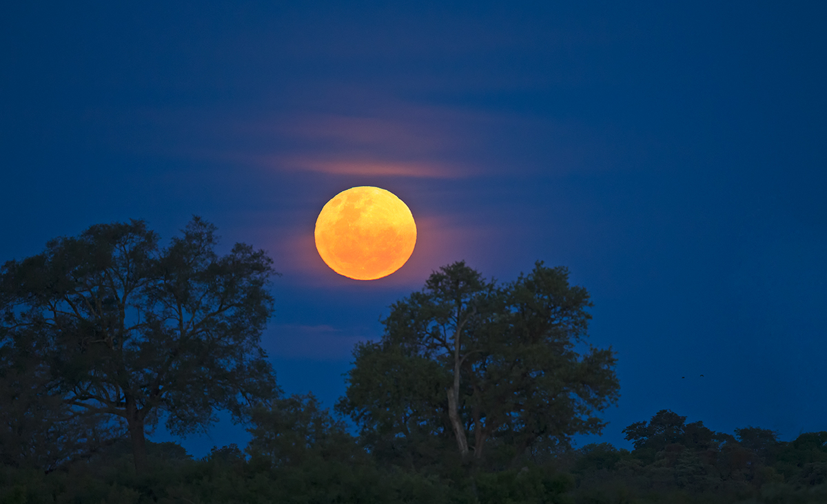 Kwando Moonrise