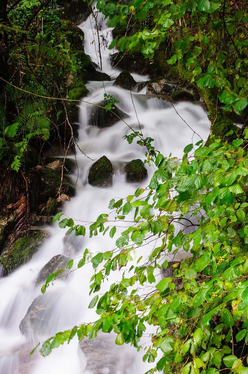 Green Corner