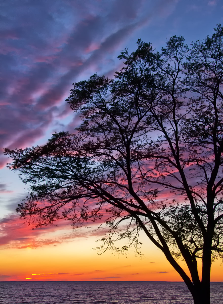 Chesapeake sunset