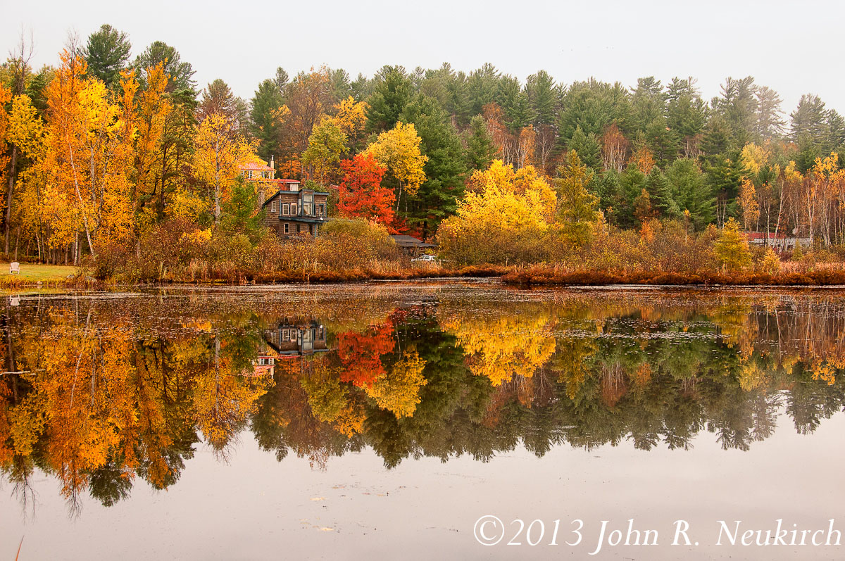 Reflective Morning