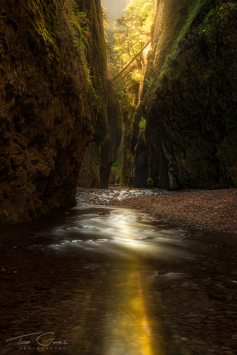 Into the Gorge