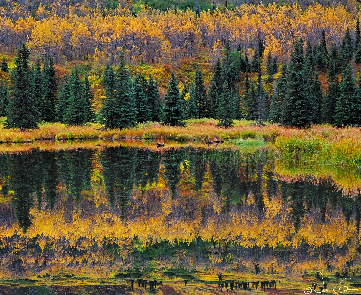 Autumn Beaver Pond