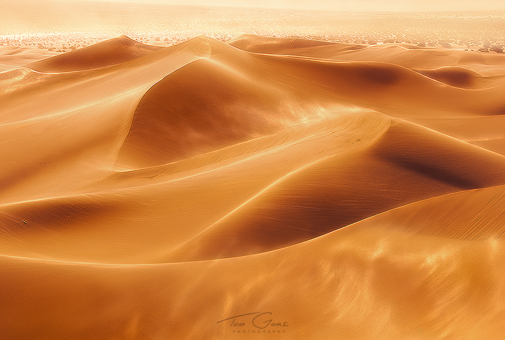 Oceans of Sand