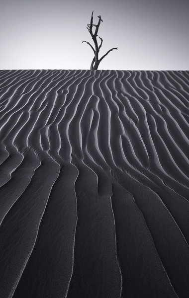 Solitary