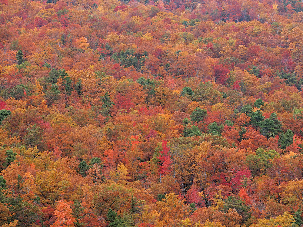 A Wall of Color