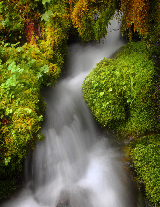 Mossy Falls