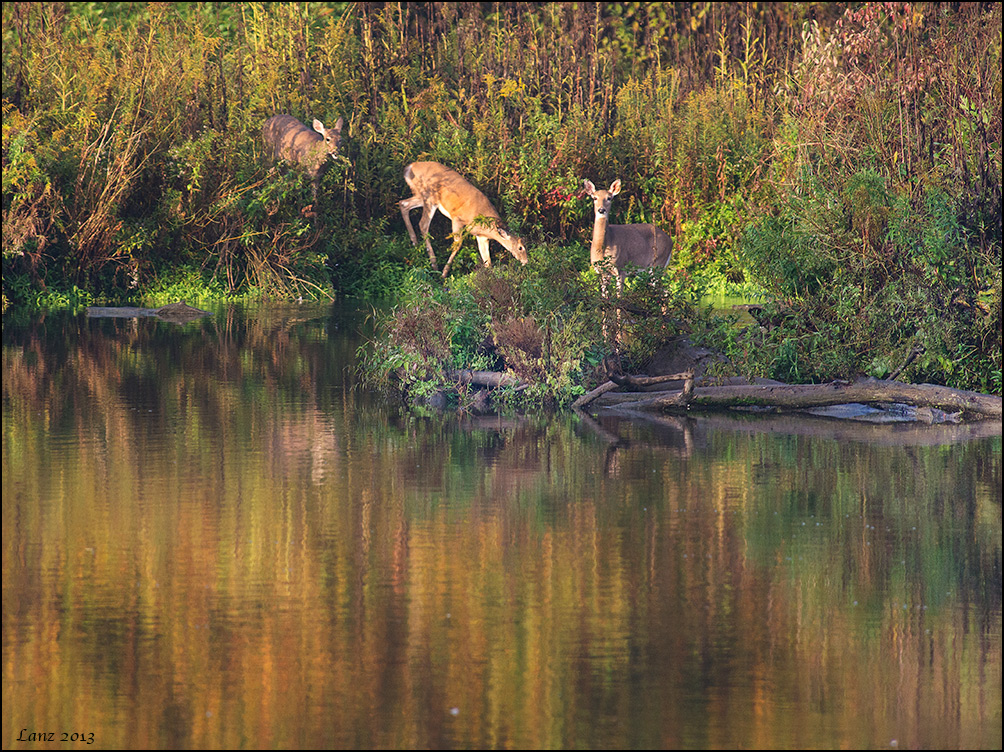 Autumn Scene (WC 609)