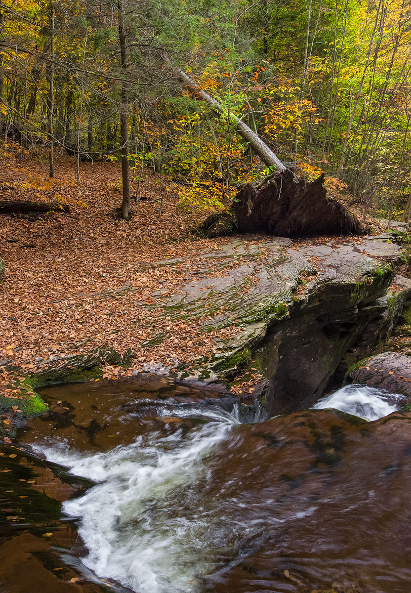 Rickett's Glen, PA