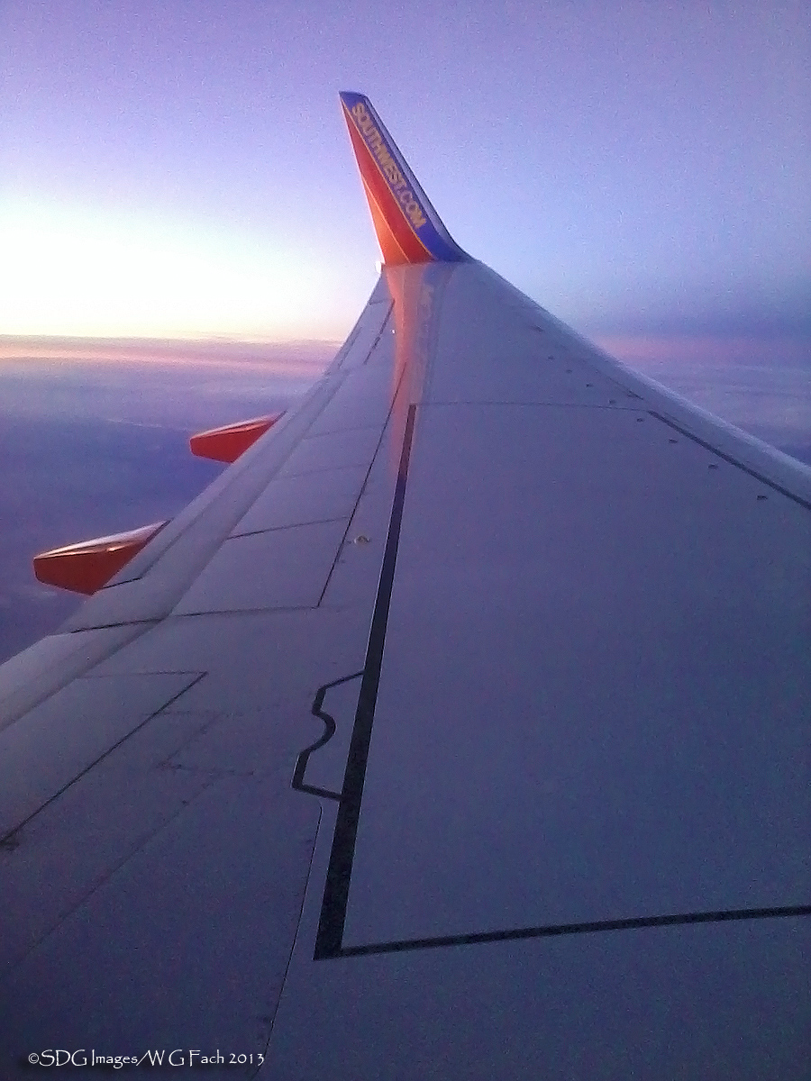 Winging Home