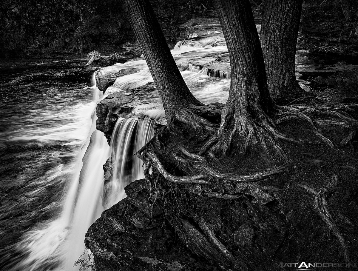Rapids & Roots