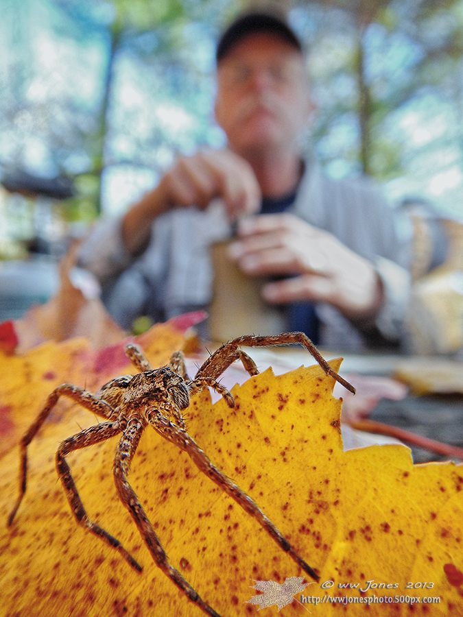 Lunch Guest (WC 610)
