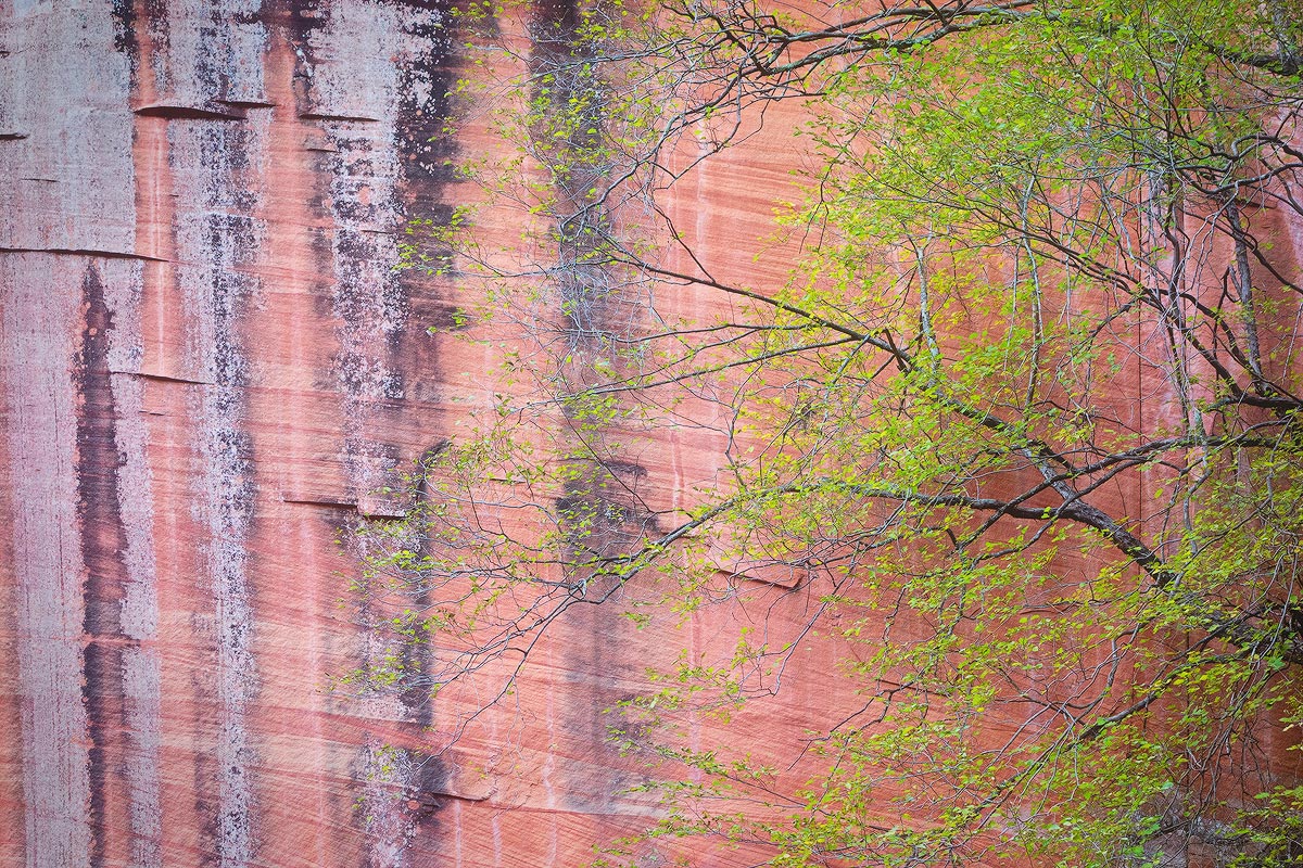 Canyon Tapestry