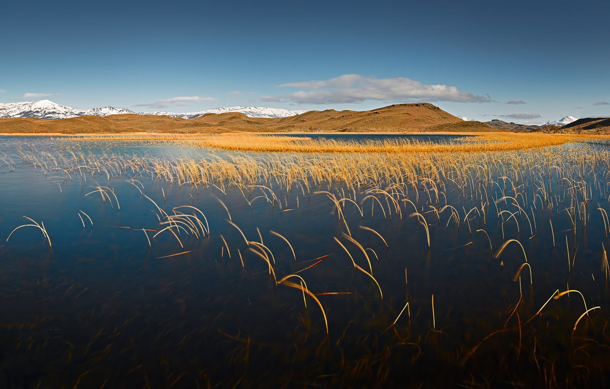 Lake with reed