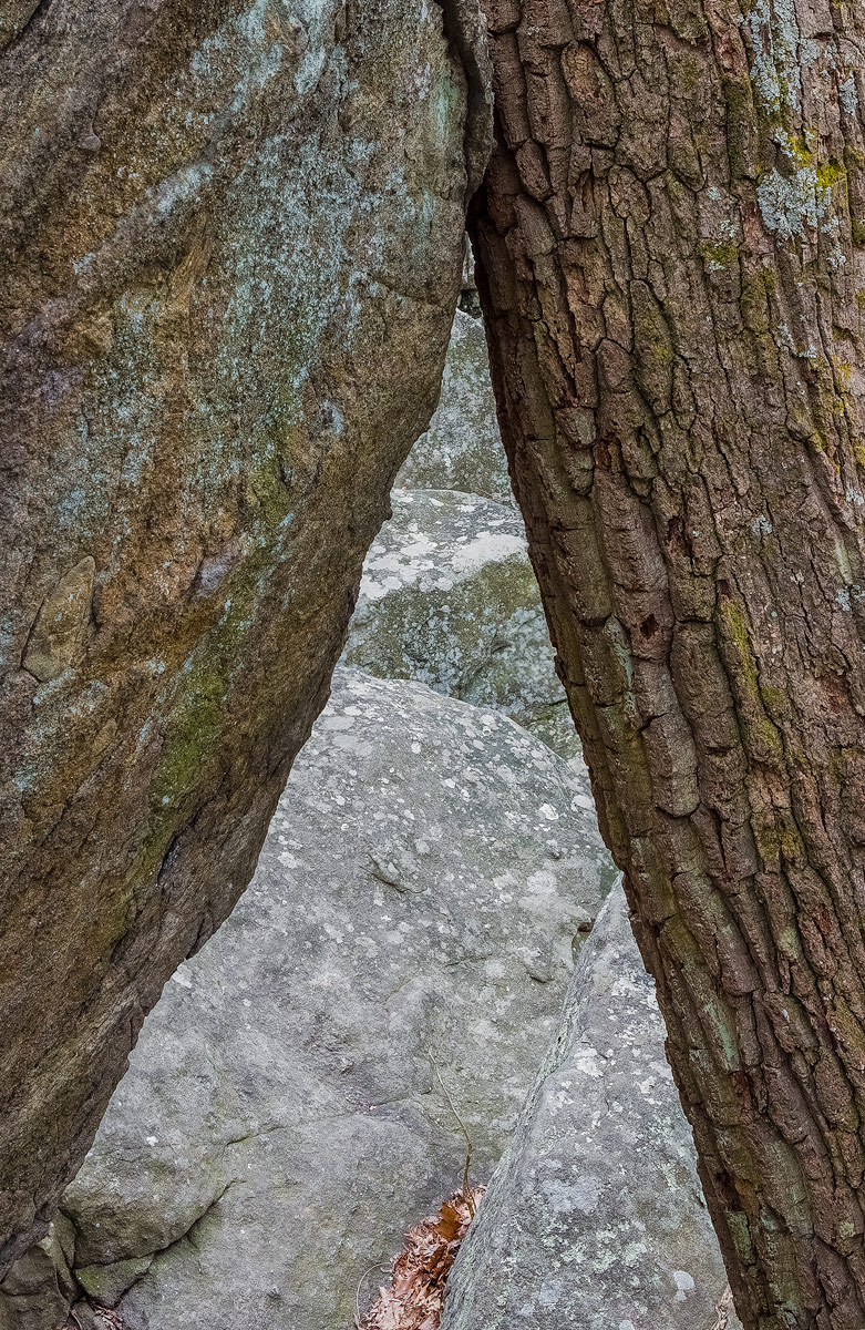 Between a ...