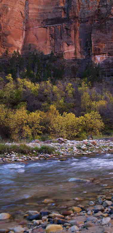 Zion Colors 1