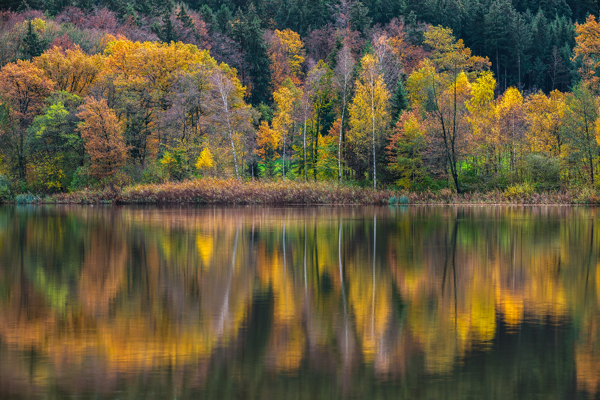Echoes Of Colors