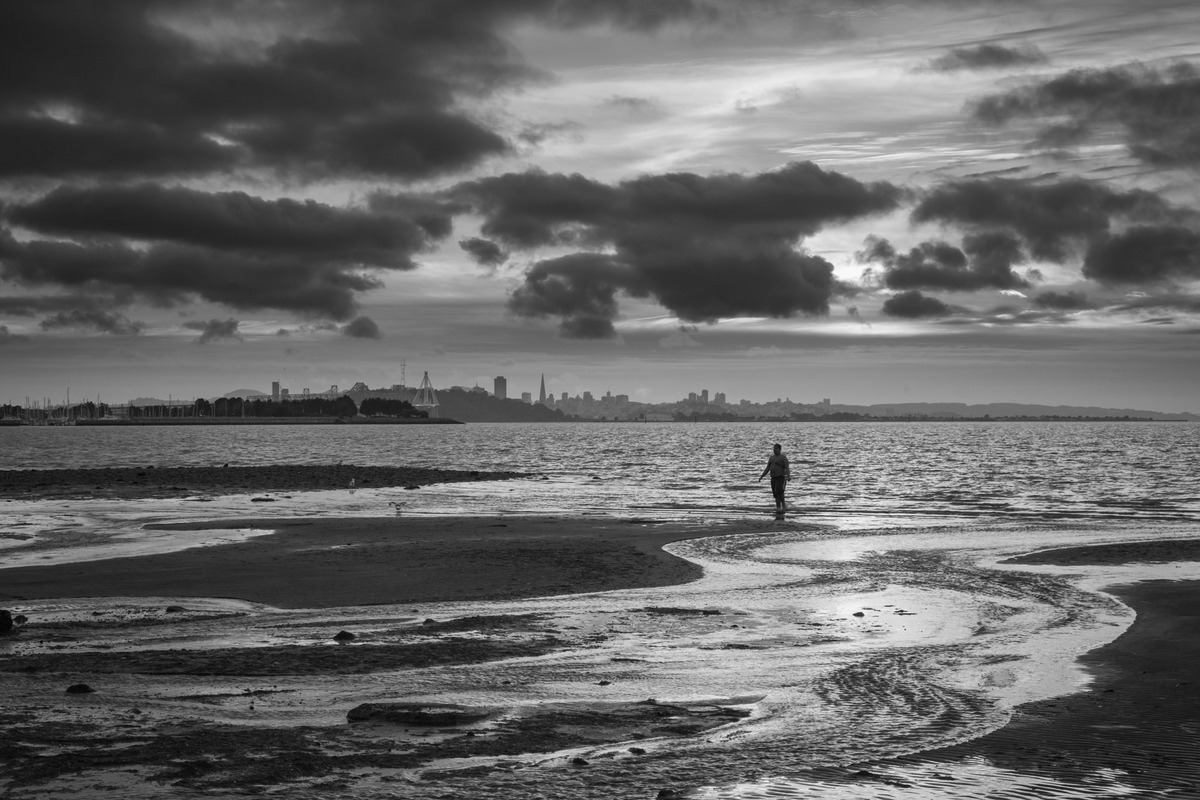 SF Bay Black and White