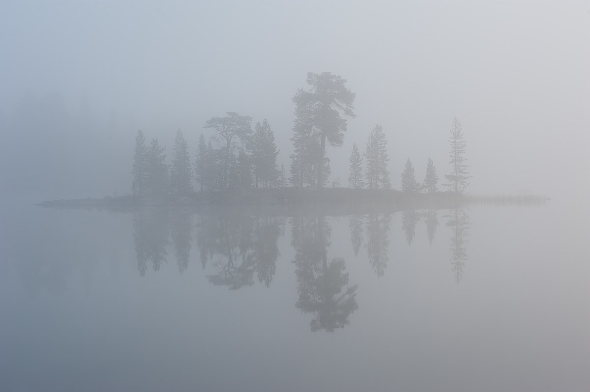 Island in the mist