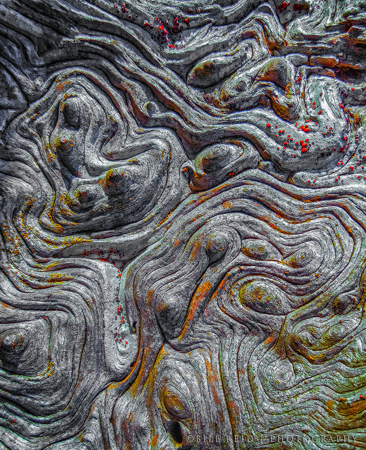 Whirlygig