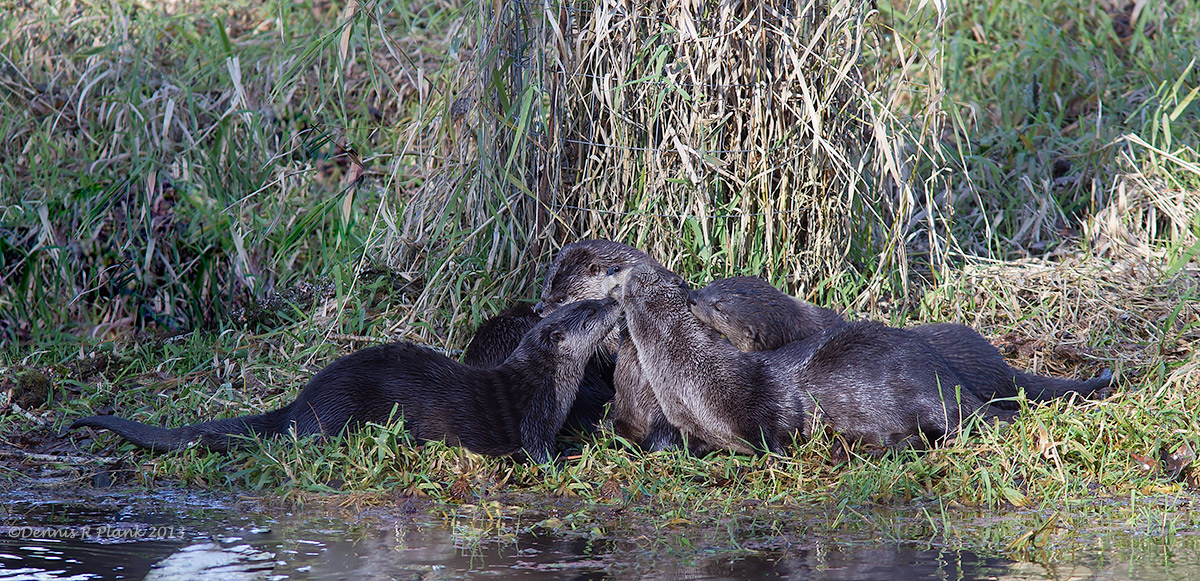Group Hug