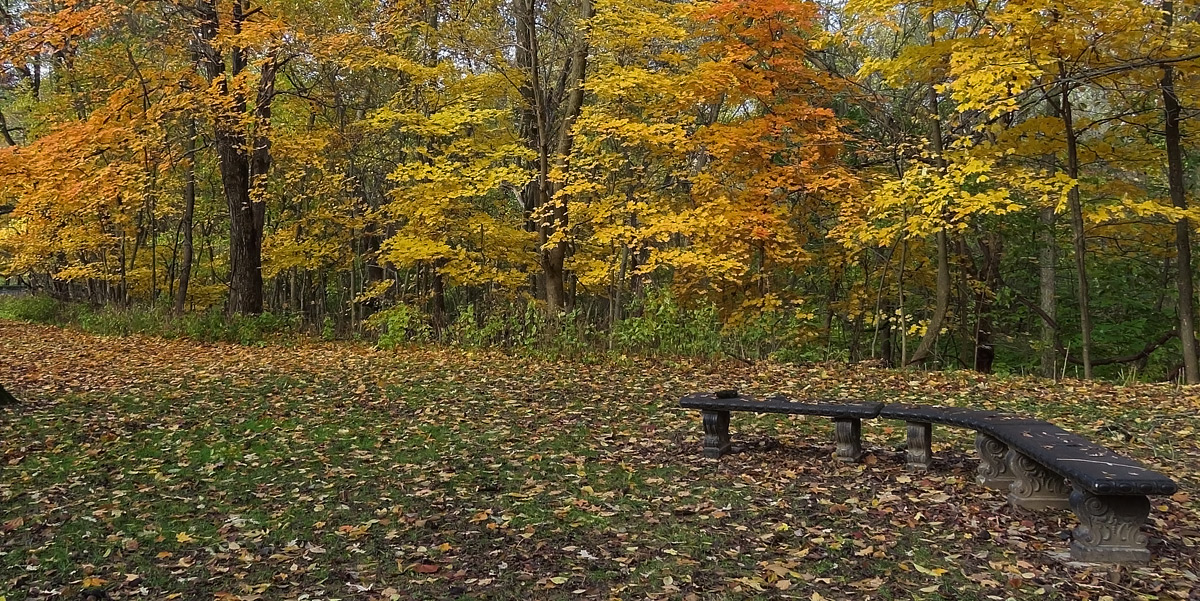A place to rest