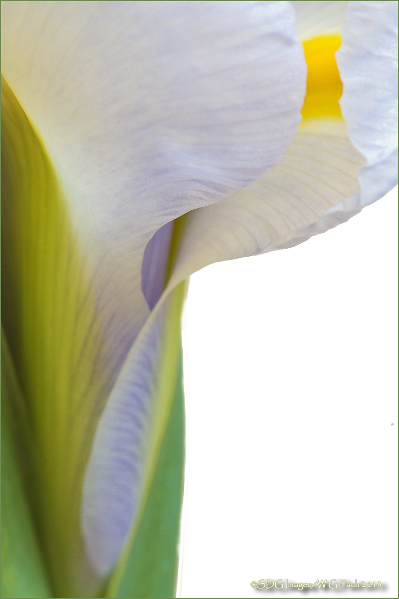 Curvaceous