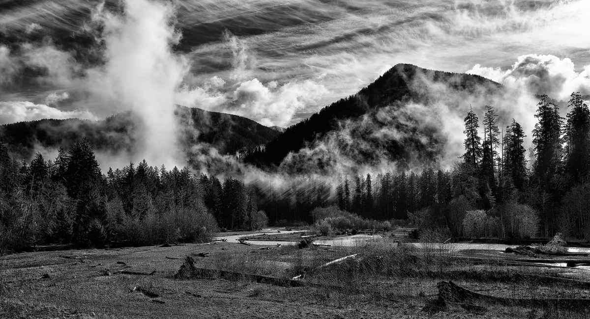 Leaving Hoh Forest B&W
