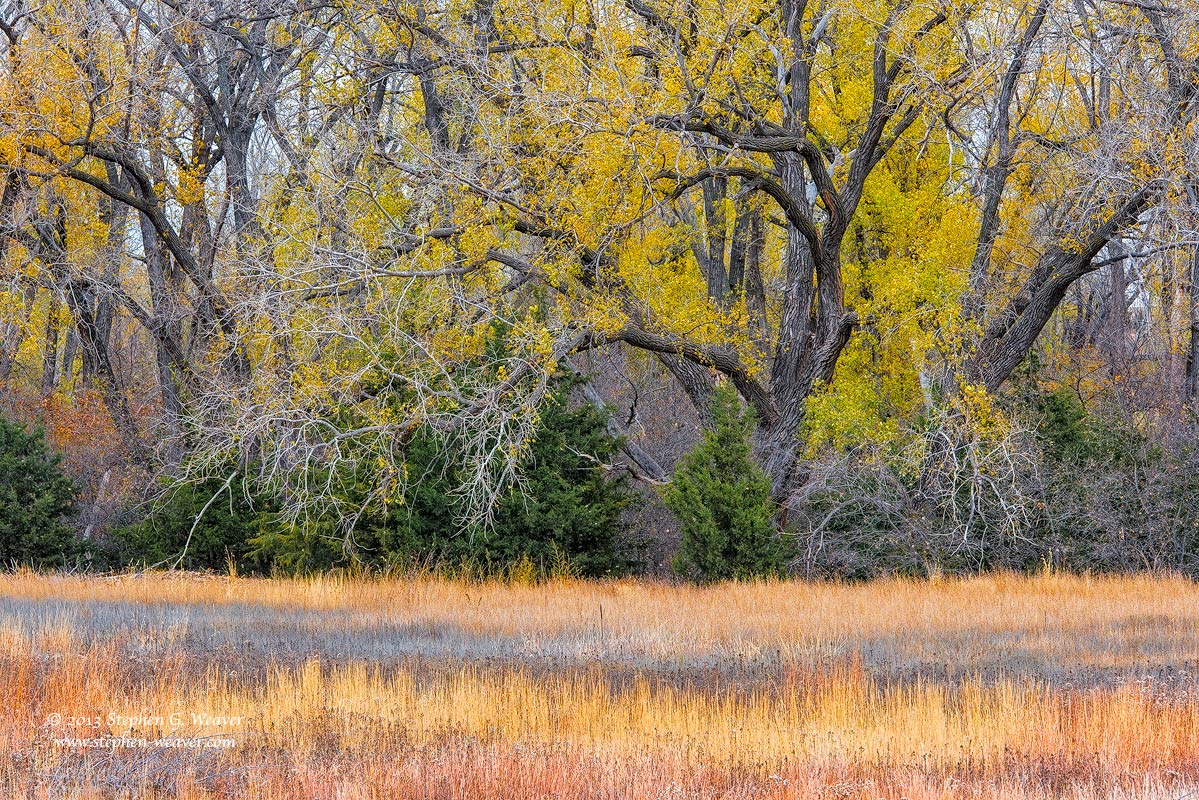 Kansas Autumn Tapestry