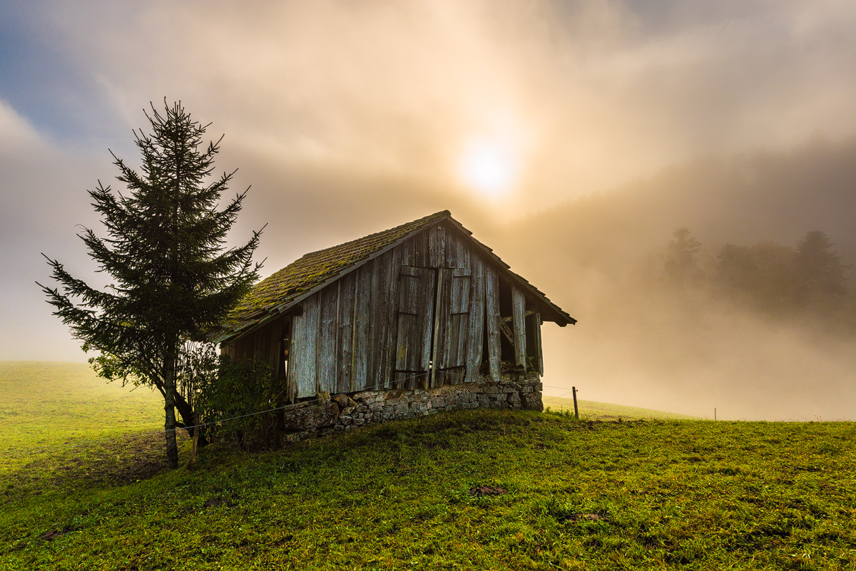 Mystic Morning