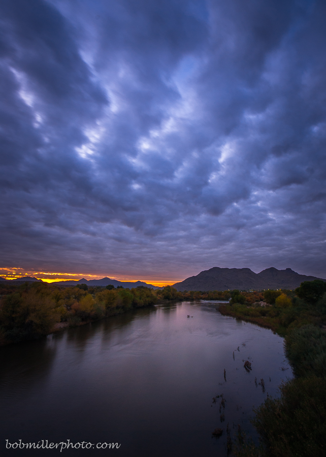 Verde Dawn