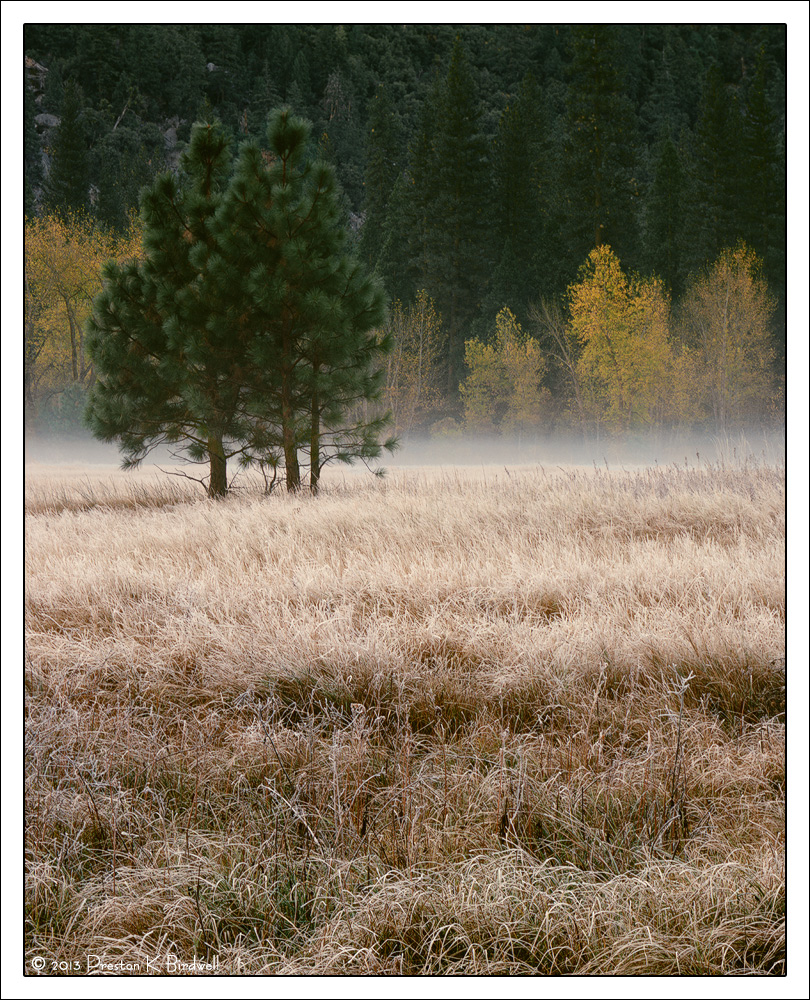 Misty Leidig Meadow + rp