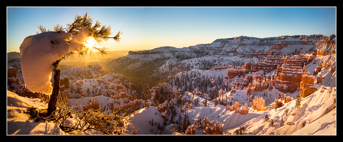 Snowy Bryce Sunrise