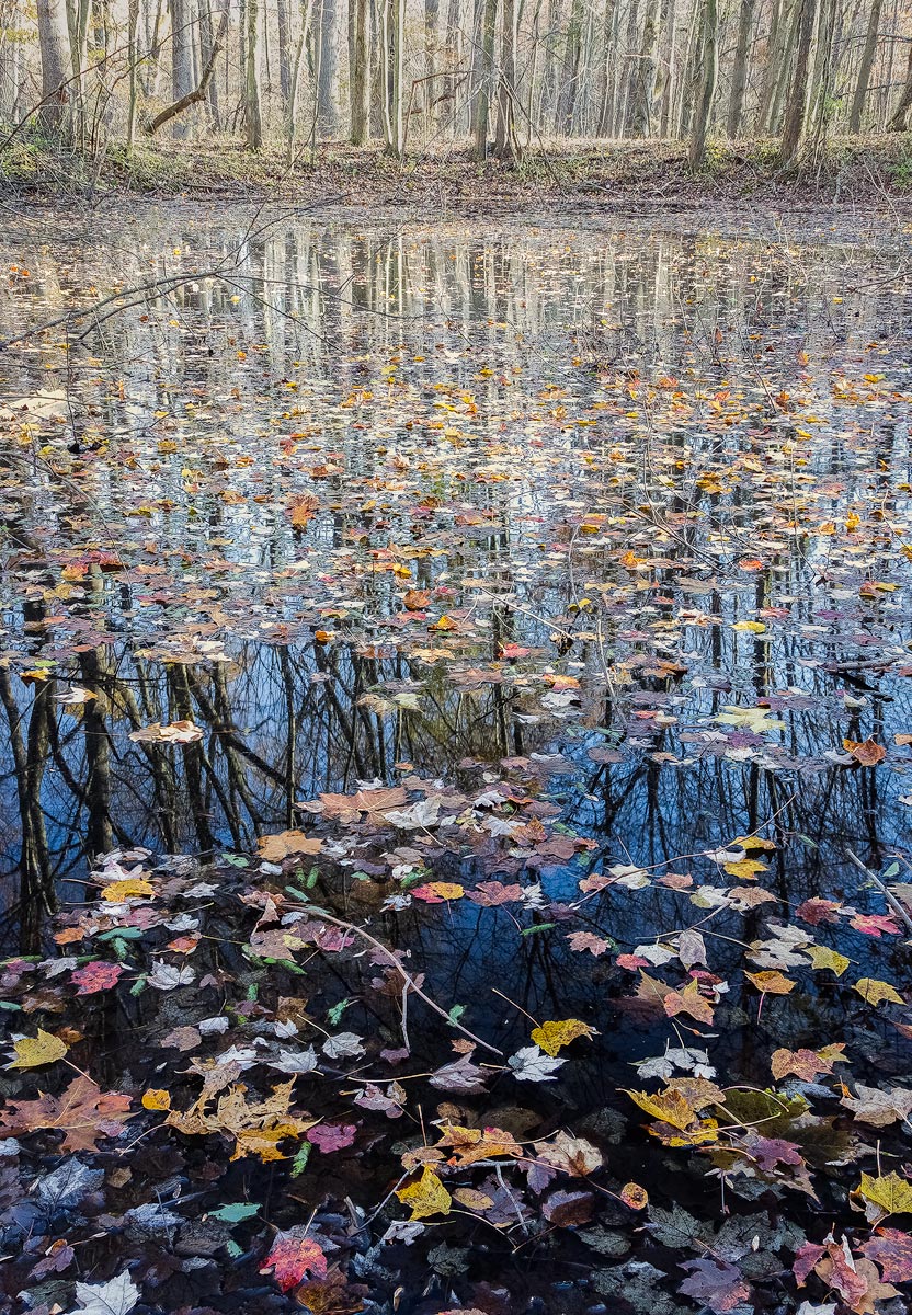Surface tension
