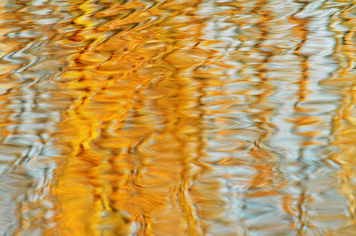 Autumn  ripples