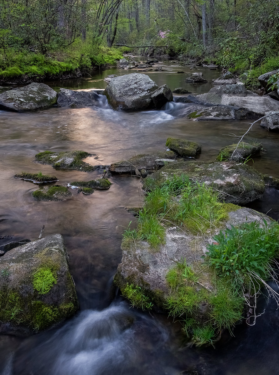 Early evening