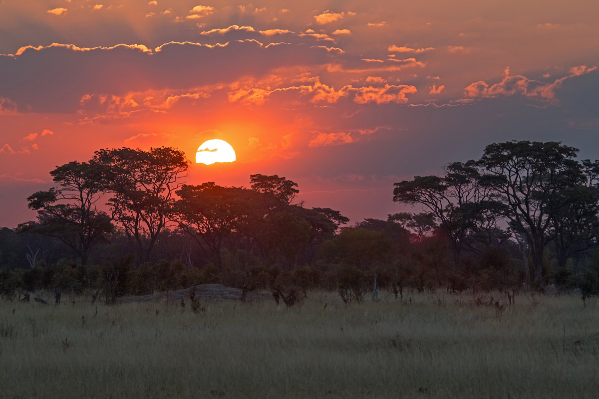 Zimbabwe Sunset