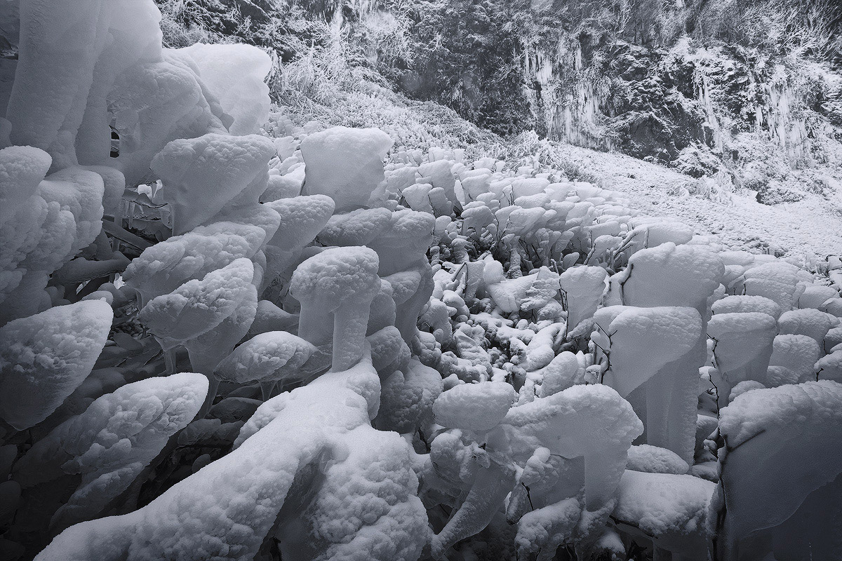 Winter Wonderland