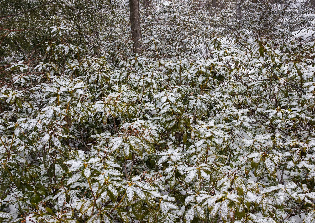 More dusting