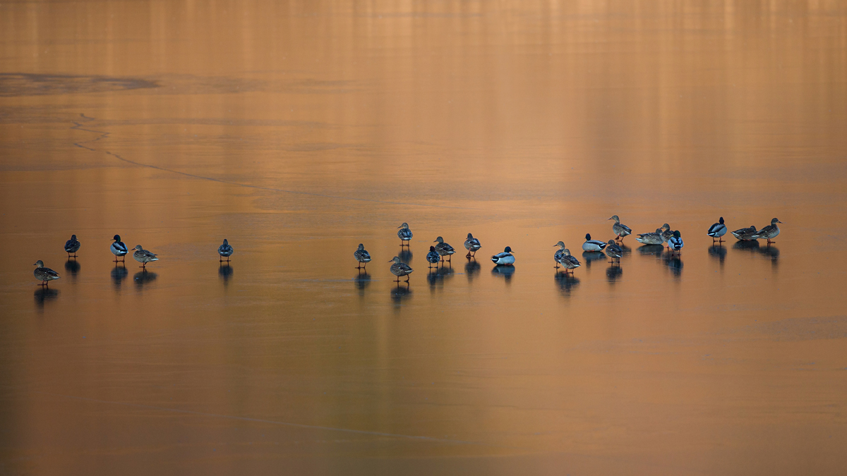 When the lake frozen...