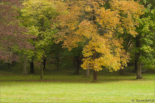 Autumn