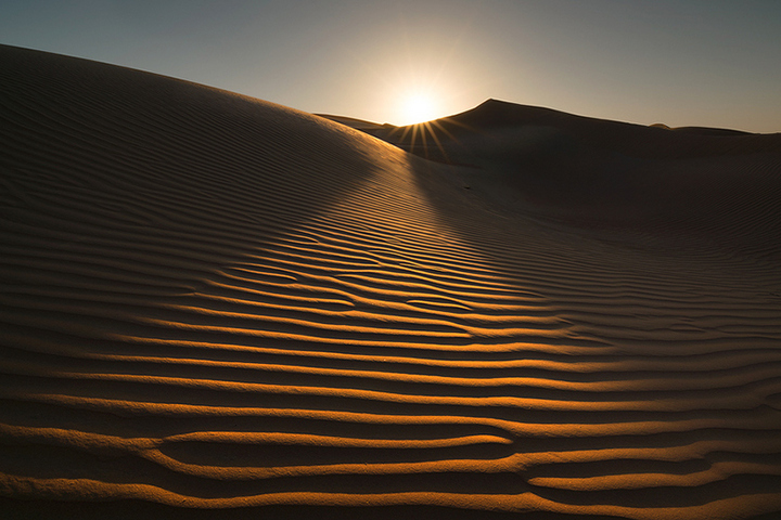The Light Path
