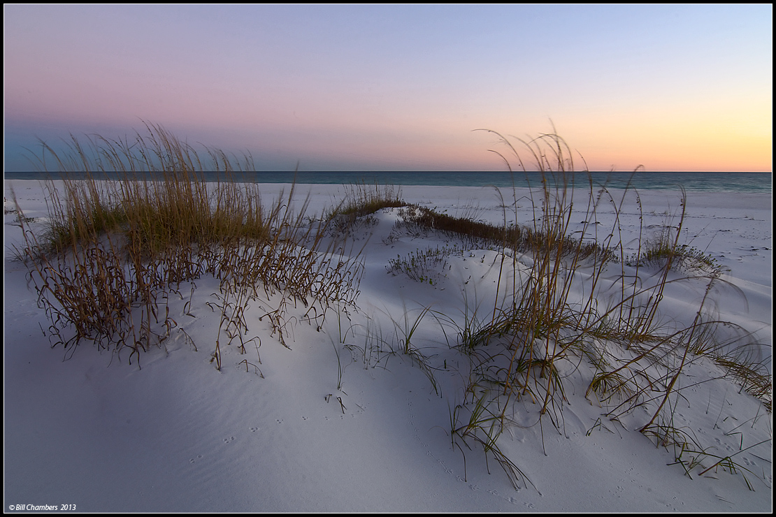 Winter Oats