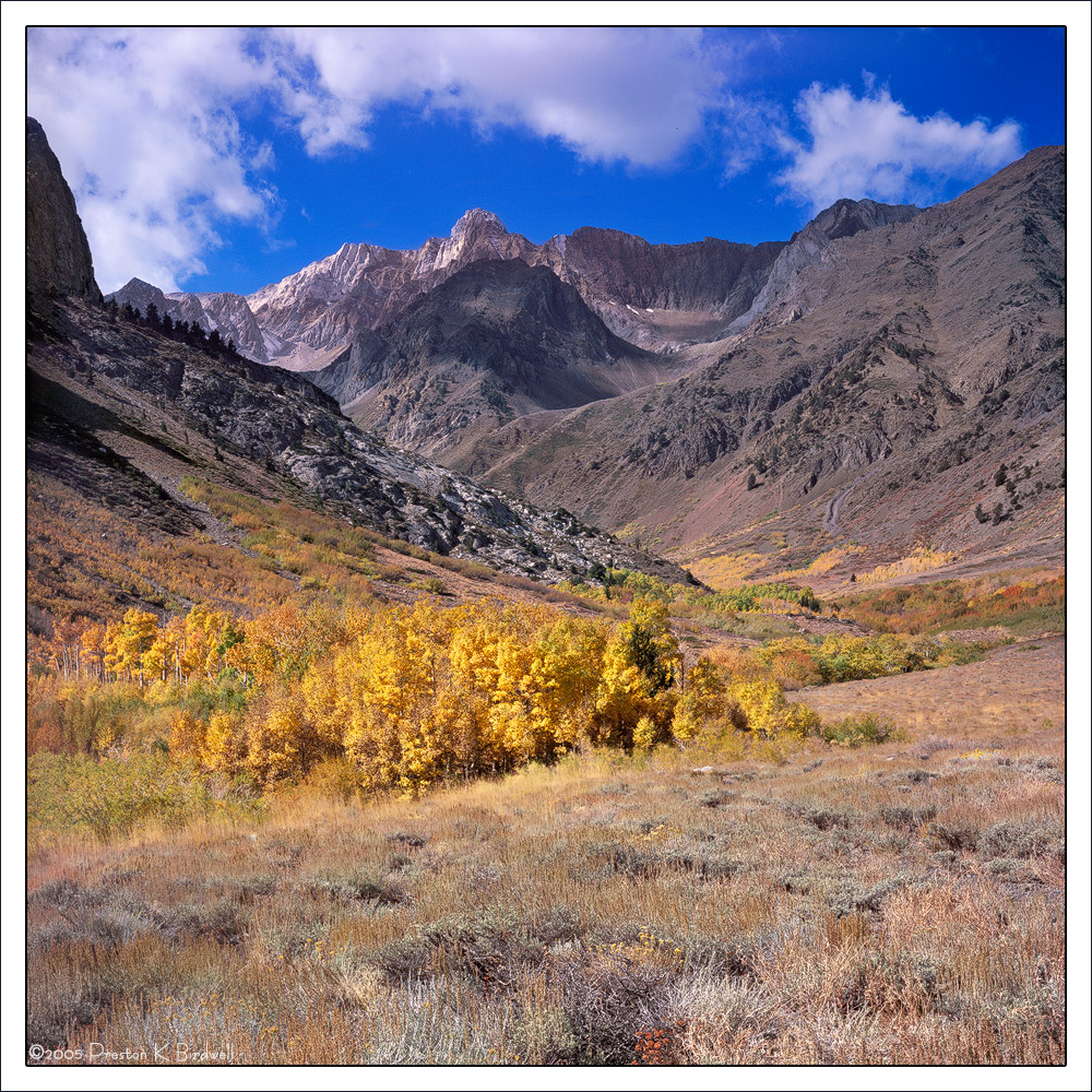 McGee Creek Autumn